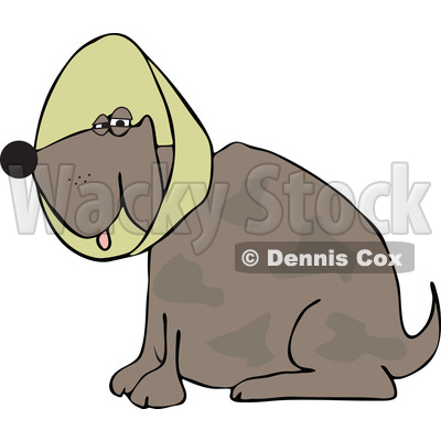 Cartoon of a Brown Dog Wearing an Elizabethan Colar Cone - Royalty Free Vector Clipart © djart #1196946