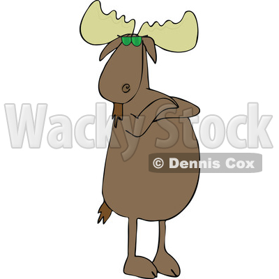 Cartoon of a Defiant Moose Wearing Sunglasses, Standing Upright with Folded Arms - Royalty Free Vector Clipart © djart #1201673