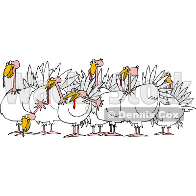 Cartoon of a Flock of Turkeys - Royalty Free Vector Clipart © djart #1208660
