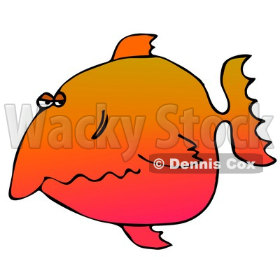 Unhappy Orange Fish Clipart Graphic Illustration © djart #12949