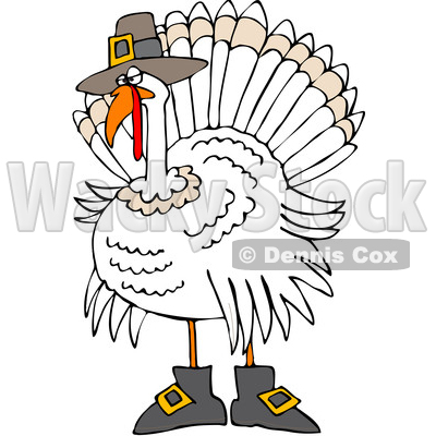 Clipart of a Cartoon White Thanksgiving Turkey Bird Wearing Boots and a Pilgrim Hat - Royalty Free Vector Illustration © djart #1362430