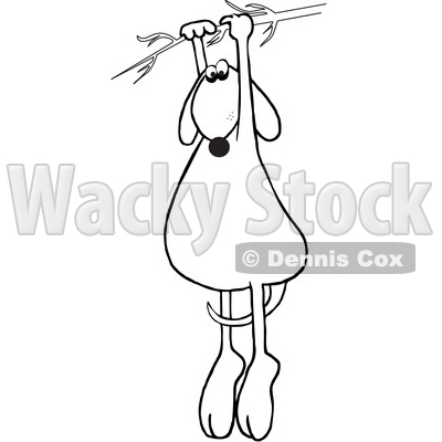 Clipart of a Cartoon Black and White Lineart Dog Hanging from a Branch - Royalty Free Vector Illustration © djart #1391243