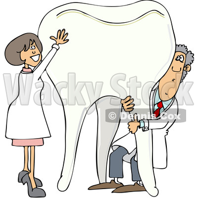 Clipart of a Cartoon Caucasian Male and Female Dentist Holding up a Giant Tooth - Royalty Free Vector Illustration © djart #1396925
