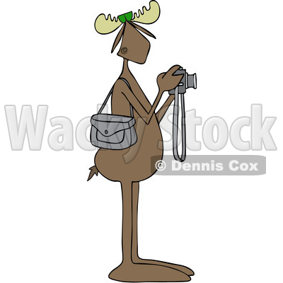 Clipart Graphic of a Cartoon Moose Photographer Wearing Sunglasses and Taking Pictures with a Camera - Royalty Free Vector Illustration © djart #1451454