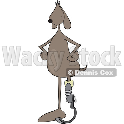 Clipart Graphic of a Cartoon Brown Dog Standing Upright with a Prosthetic Spring Leg - Royalty Free Vector Illustration © djart #1451479