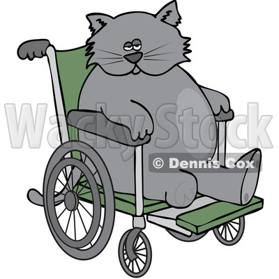 Clipart of a Cartoon Chubby 3 Legged Cat in a Wheelchair - Royalty Free Vector Illustration © djart #1452481