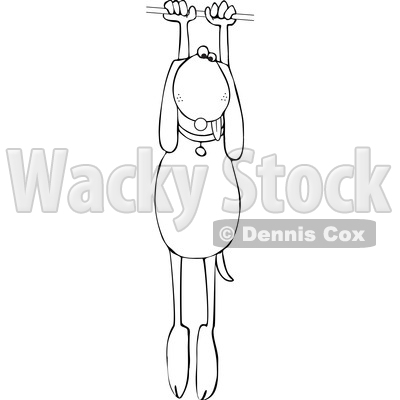 Clipart of a Cartoon Lineart Dog Hanging on - Royalty Free Vector Illustration © djart #1605154