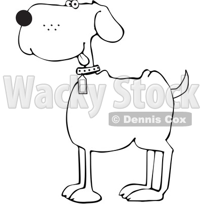 Cartoon Happy Black and White Dog © djart #1617711