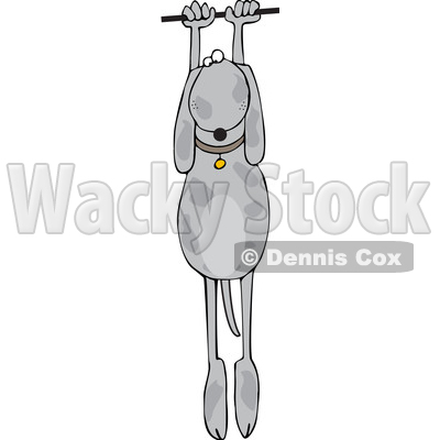 Cartoon Dog Hanging © djart #1637318