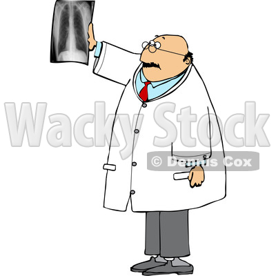 Cartoon Chubby Male Doctor Reviewing an XRay © djart #1652866