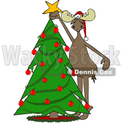 Moose Decorating a Christmas Tree © djart #1668267