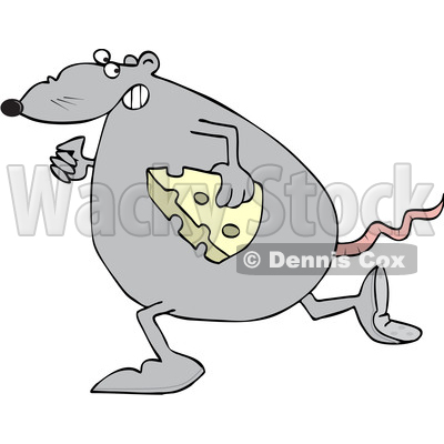Cartoon Fat Rat Stealing Cheese © djart #1693814