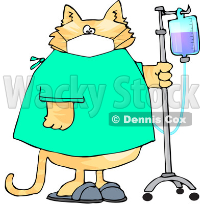 Cartoon Sick Cat Wearing a Hospital and Walking with IV Fluids in a Hospital © djart #1709732