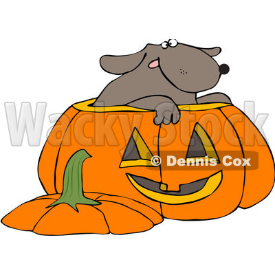 Royalty-Free (RF) Clipart Illustration of a Dog Inside A Halloween Pumpkin © djart #209419
