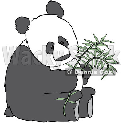 Royalty-Free (RF) Clipart Illustration of a Giant Panda Sitting And Holding A Stalk Of Bamboo © djart #231467
