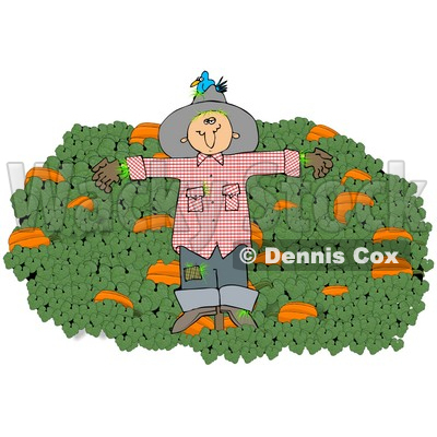 Clipart Illustration of a Blue Bird Nesting In The Hat Of A Scarecrow In A Pumpkin Patch © djart #24418