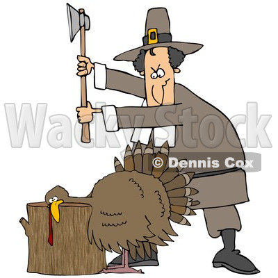 Clipart Illustration of a Male Pilgrim Holding An Axe Above A Turkey On A Chopping Block, Preparing To Kill It For Thanksgiving Dinner © djart #24995