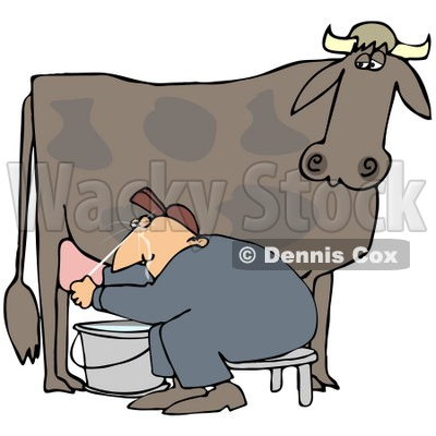 Clipart Illustration of a Man Sitting On A Bench And Getting Squirt In The Face While Milking A Cow © djart #37239