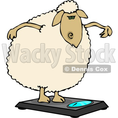 Anthropomorphic Fat Sheep Weighing Itself On a Scale Clipart © djart #4579