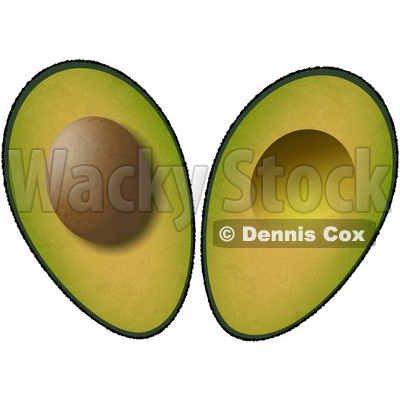 Avocado Plant Care