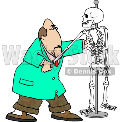 Male Chiropractor Practicing Procedures On a Skeleton Clipart Illustration © djart #5667
