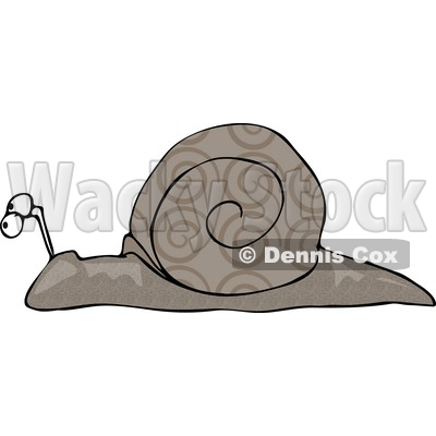 Gray Snail With Swirly Designs on its Shell Clipart Picture © djart #6144