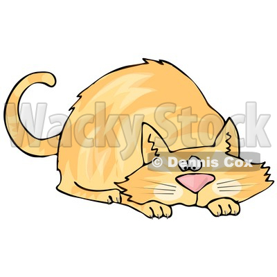 Orange Cat Crouching While Preparing to Pounce on Something Clipart Picture © djart #6327
