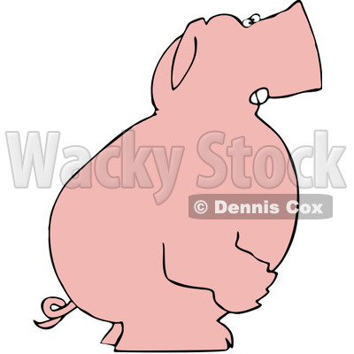 Royalty-Free (RF) Clipart Illustration of a Mad Pink Pig Standing And Facing To The Right © djart #83888
