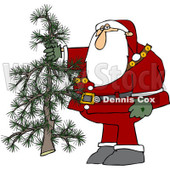 Clipart Santa Holding Out A Fresh Cut Christmas Tree - Royalty Free Vector Illustration © djart #1087212