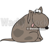 Cartoon of a Dog Sitting and Glancing Upwards - Royalty Free Vector Clipart © djart #1164209