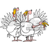 Cartoon of a Small Flock of White Turkeys - Royalty Free Vector Clipart © djart #1208658
