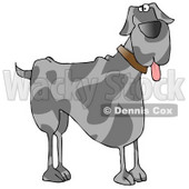 Friendly Great Dane Dog Hanging its Tongue Out Clipart Illustration © djart #13221