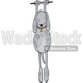 Cartoon Dog Hanging © djart #1637318
