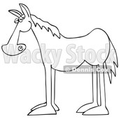Cartoon Black and White Horse in Profile © djart #1690717
