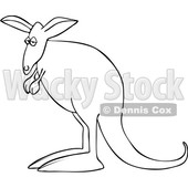 Cartoon Kangaroo © djart #1690825