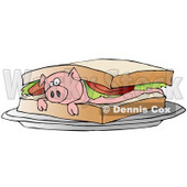 Confused Pink Pig Lying On Its Belly Under Lettuce And Tomato Between Slices Of White Bread On A Blt Sandwich Clipart Illustration © djart #17229