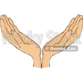 Royalty-Free (RF) Clipart Illustration of a Pair Of Open Hands © djart #209895
