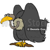 Clipart Illustration of a Grumpy Vulture Bird Sitting On A Branch And Glancing At The Viewer © djart #34043