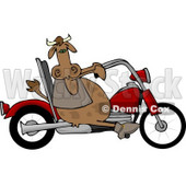 Male Cow Driving a Motorcycle Clipart © djart #4534