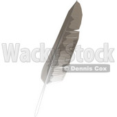 Gray and White Bird Feather Clipart Illustration © djart #5747