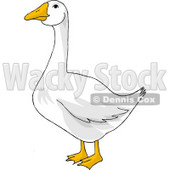 White Goose with Orange Bill and Feet Clipart Picture © djart #5958