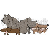 Assortment of Dogs Standing and Sitting in a Group Clipart Picture © djart #6232