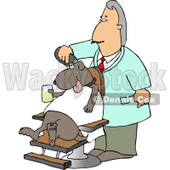 Male Dog Groomer Grooming a Dog With a Razor While He Sits in a Chair, Holding a Drink Clipart Picture © djart #6271