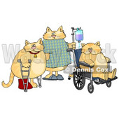Three Orange Cats With IV Dispensers, Crutches, Casts and Wheelchairs in a Hospital Clipart Picture © djart #6324