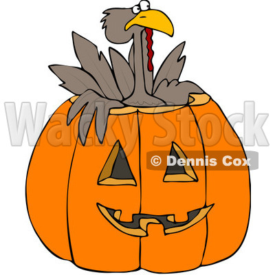 Royalty-Free (RF) Clipart Illustration of a Turkey Bird Popping Out Of A Carved Halloween Pumpkin © djart #100129