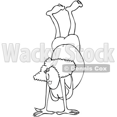 Clipart Outlined Woman Doing A Handstand In A Bikini - Royalty Free Vector Illustration © djart #1073587
