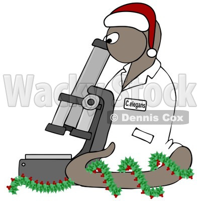 Clipart BrownChristmas C Elegans Roundworm With A Santa Hat And Holly Wreath And Microscope - Royalty Free Illustration  © djart #1082253