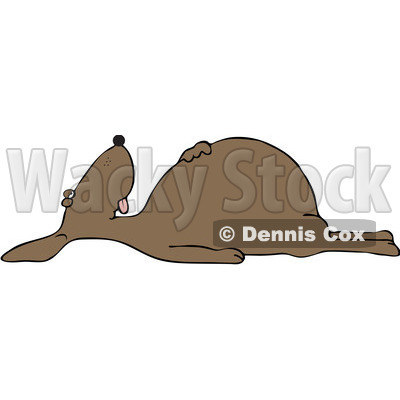 Clipart Dead Brown Dog On Its Back - Royalty Free Vector Illustration © djart #1104854