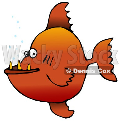 Mean Orange Pacu Pirhanna Fish With Sharp Teeth Animal Clipart Illustration © djart #12417