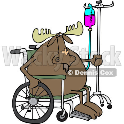 Clipart of an Injured Hospital Patient Moose in a Wheelchair with an Iv - Royalty Free Vector Illustration © djart #1244187
